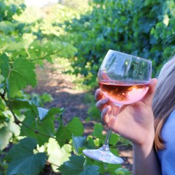Stop and Smell the Rosé