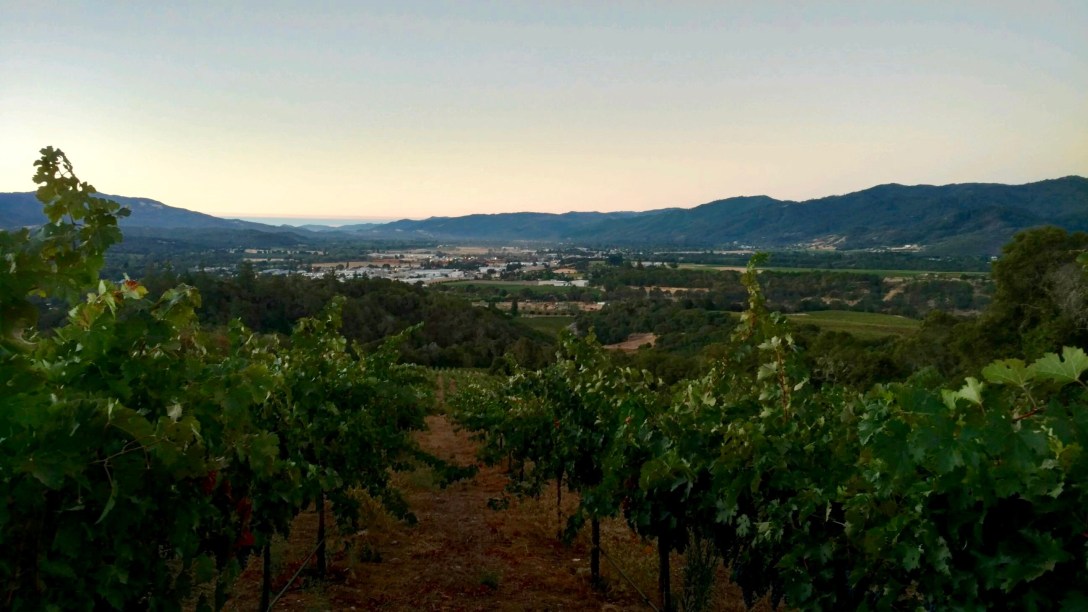 img95201609199506515655995hdr-1