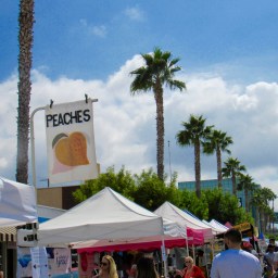 My Sunday Happy Place