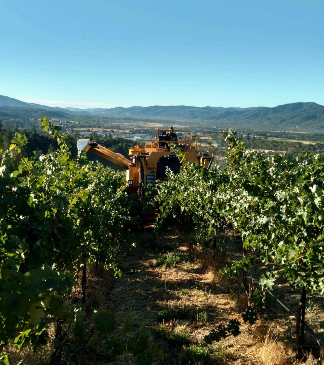 img_20160919_081349355_hdr