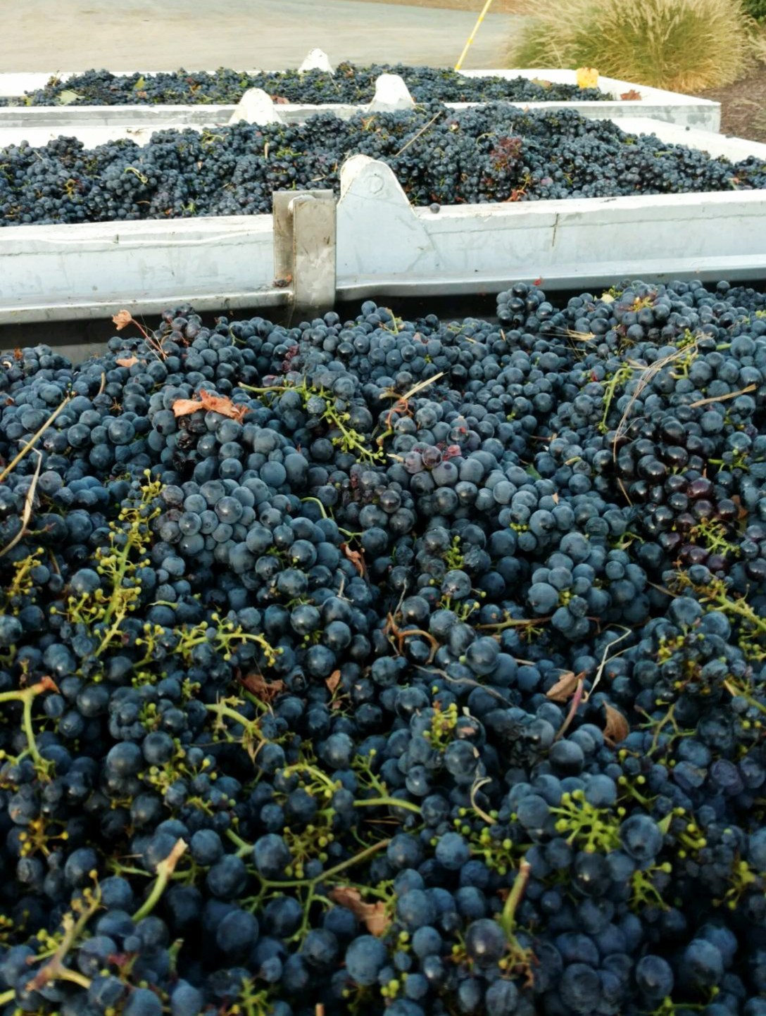 img_20161006_184130945