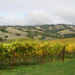 Anderson Valley: The Path Less Traveled