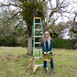 Meet Me Under The Wild Mistletoe