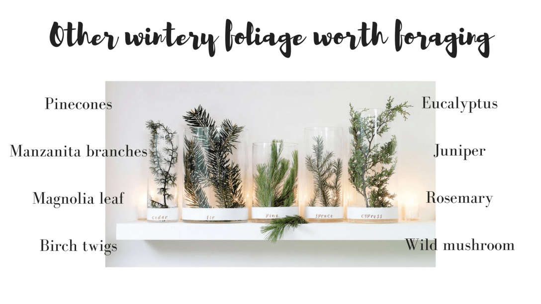 Other wintery foliage worth foraging for
